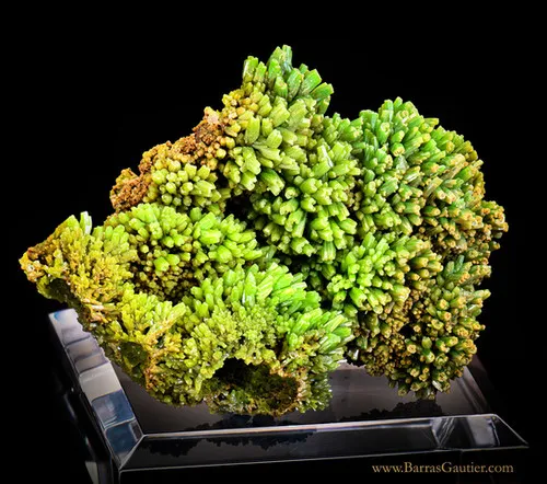Pyromorphite image