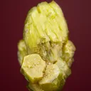 Pyromorphite - image 3