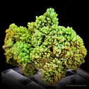 Pyromorphite - image 3