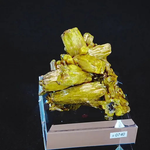 specimen video