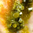 Pyromorphite 726 gr - Saint Exupéry les Roches - A89 construction site - Corrèze, France - image 4