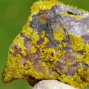 Pyromorphite 75 grams - M'Fouati District, Bouenza Department, Congo - image 7