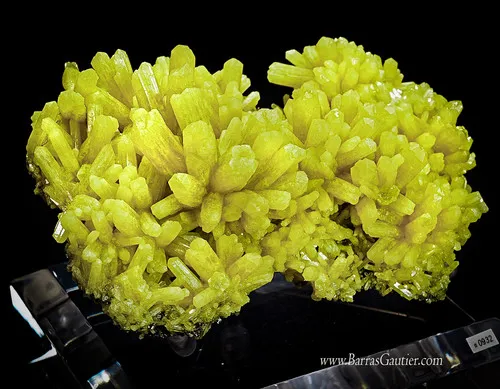 Pyromorphite image