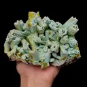 Pyromorphite - image 5