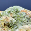 Pyromorphite 784 grams - Steinbach, Cernay, Haut-Rhin, Grand Est, France - image 6