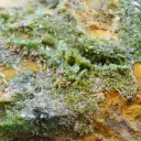 Pyromorphite 784 grams - Steinbach, Cernay, Haut-Rhin, Grand Est, France - image 5
