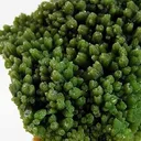 Pyromorphite - image 2