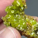 Pyromorphite - image 2