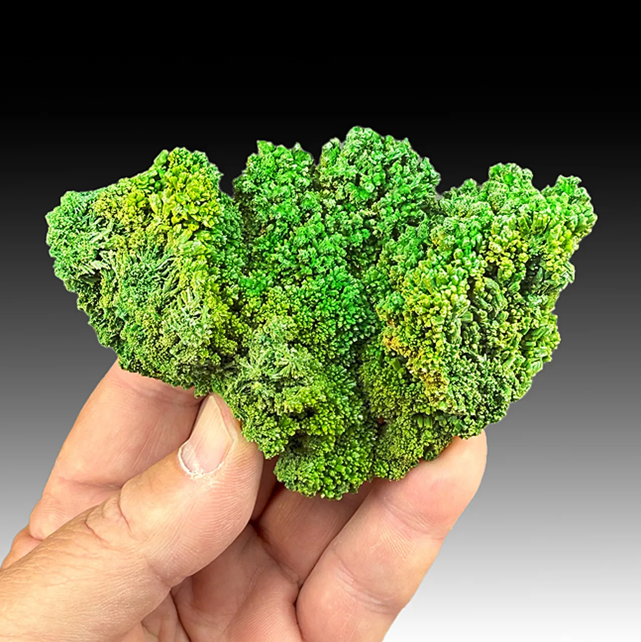 Pyromorphite - image 1