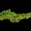 Pyromorphite - image 1