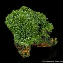 Pyromorphite - image 4