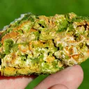 Pyromorphite 83 grams - Le Rossignol Mine, Chaillac Mines, Chaillac, Le Blanc, Indre, France - image 7
