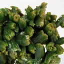 Pyromorphite - image 2
