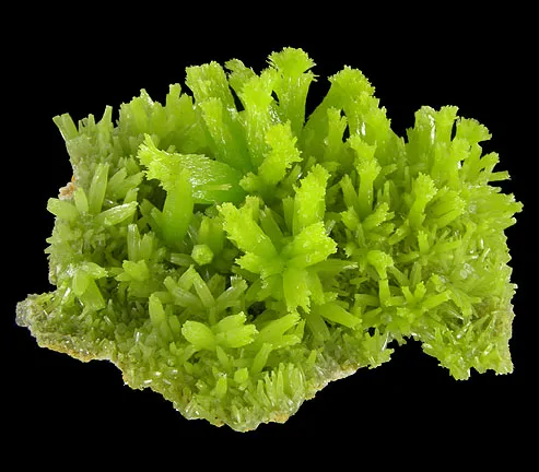 Pyromorphite image