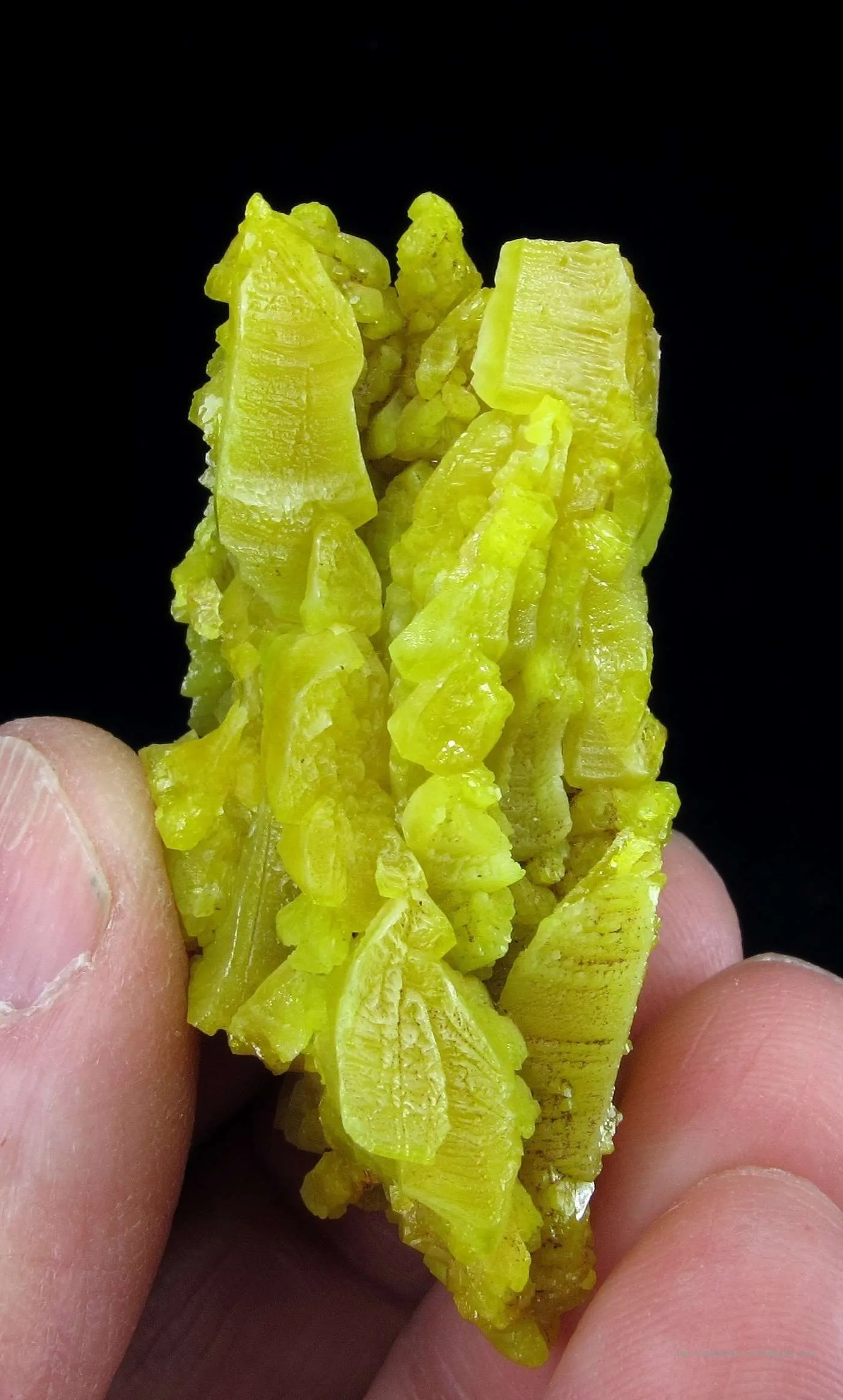 Pyromorphite - image 2