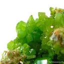 Pyromorphite - image 2
