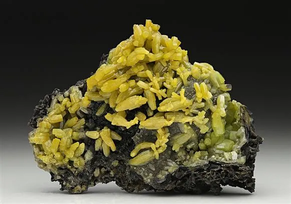 Pyromorphite image