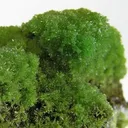Pyromorphite - image 2
