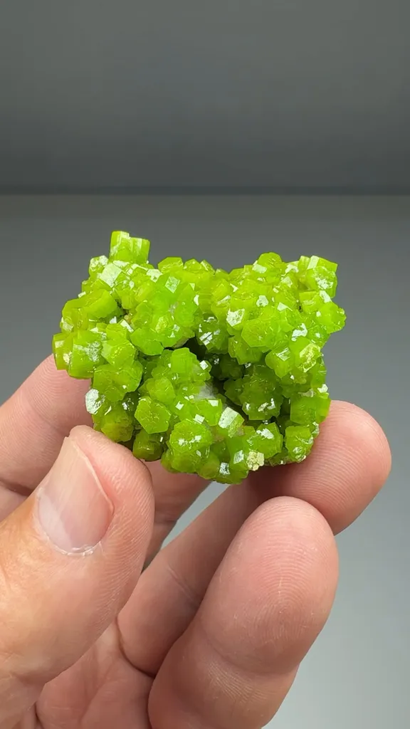 Pyromorphite image