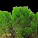 Pyromorphite - image 2