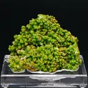 Pyromorphite - image 1