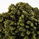 Pyromorphite - image 2