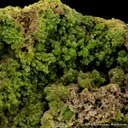 Pyromorphite - image 4