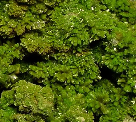 Pyromorphite - image 2