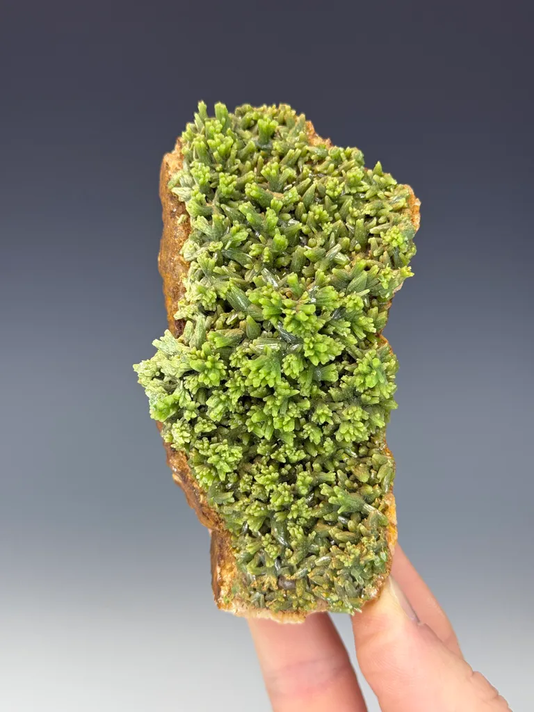 Pyromorphite image