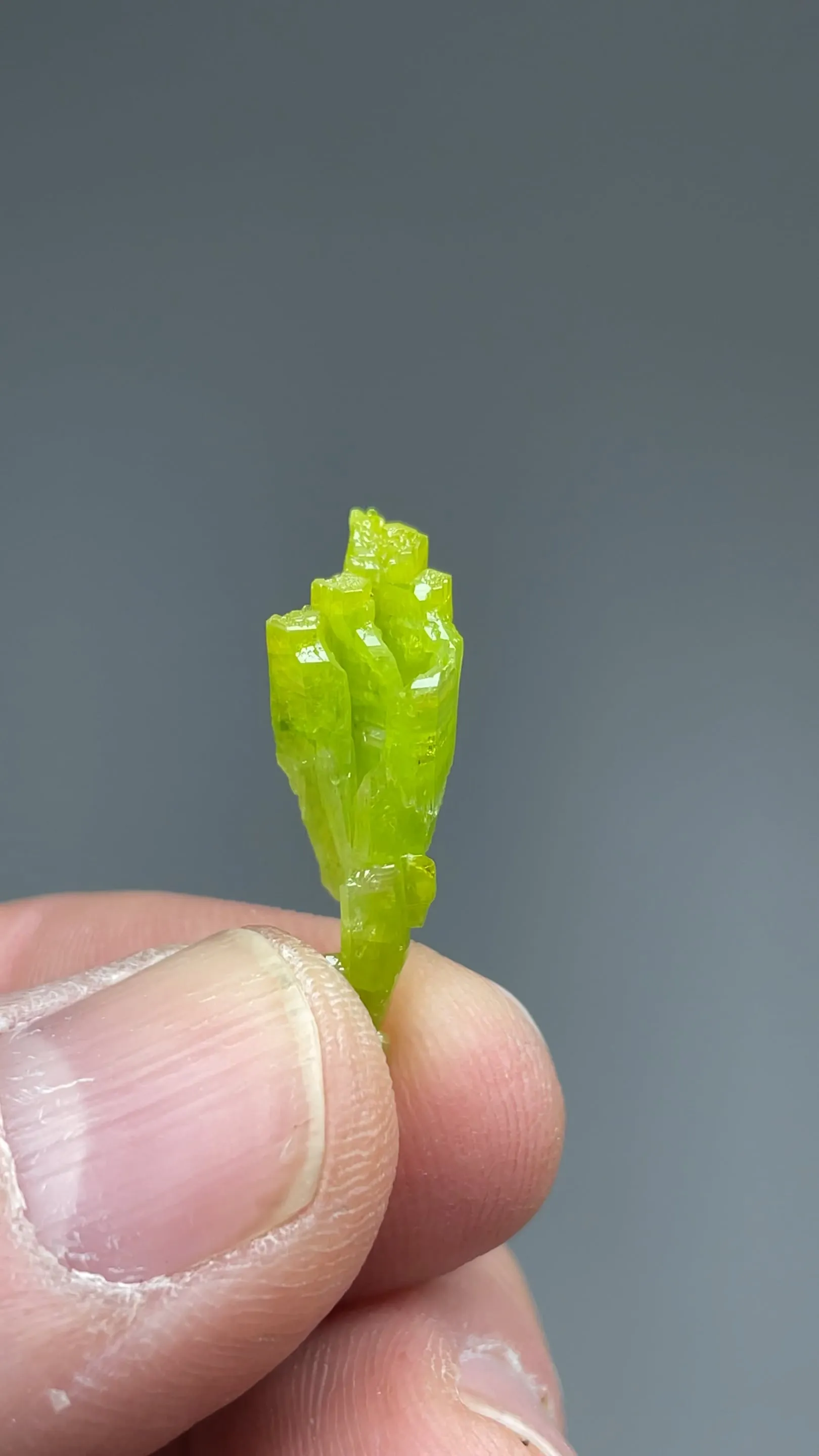 Pyromorphite - image 2