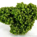 Pyromorphite - image 1