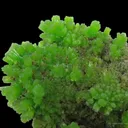 Pyromorphite - image 4