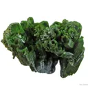Pyromorphite - image 6