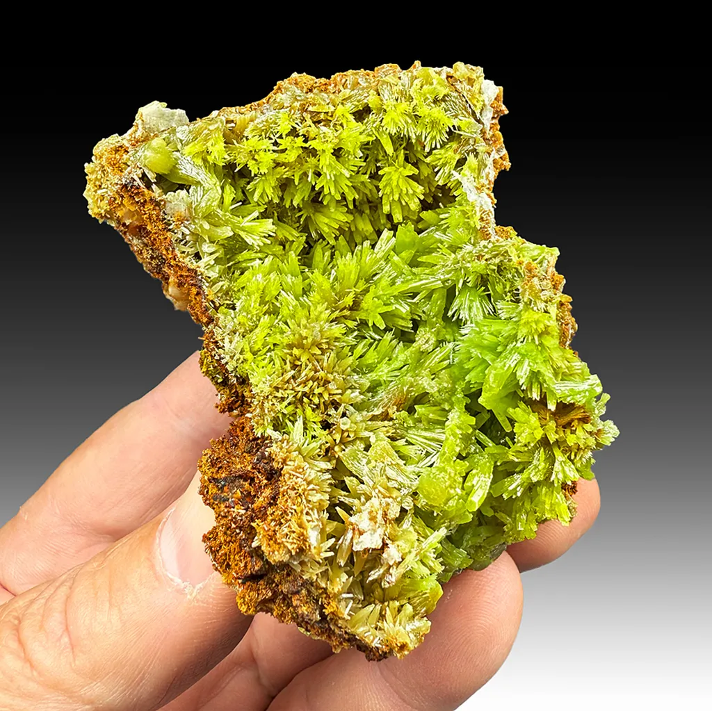 Pyromorphite image