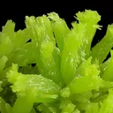 Pyromorphite - image 2