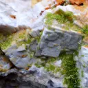 Pyromorphite Barite Fluorite 1170 grams - Chaillac Mine, Indre, Centre-Val de Loire, France - image 3