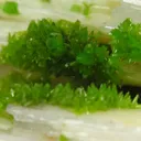 Pyromorphite, Baryte - image 2