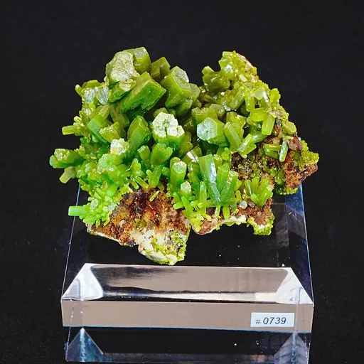 specimen video