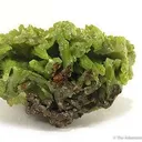 Pyromorphite - image 3