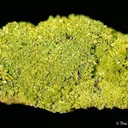 Pyromorphite - image 1