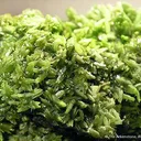 Pyromorphite - image 2