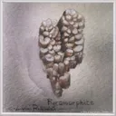 Pyromorphite - image 4