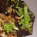Pyromorphite - image 2