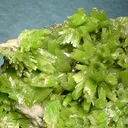 Pyromorphite, Cerussite - image 2
