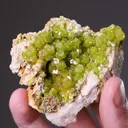 Pyromorphite - image 2