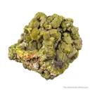 Pyromorphite (circa 1830's) - image 7