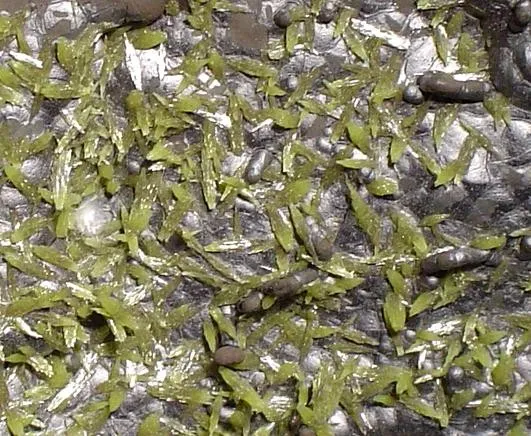 Pyromorphite, Coronadite - image 2