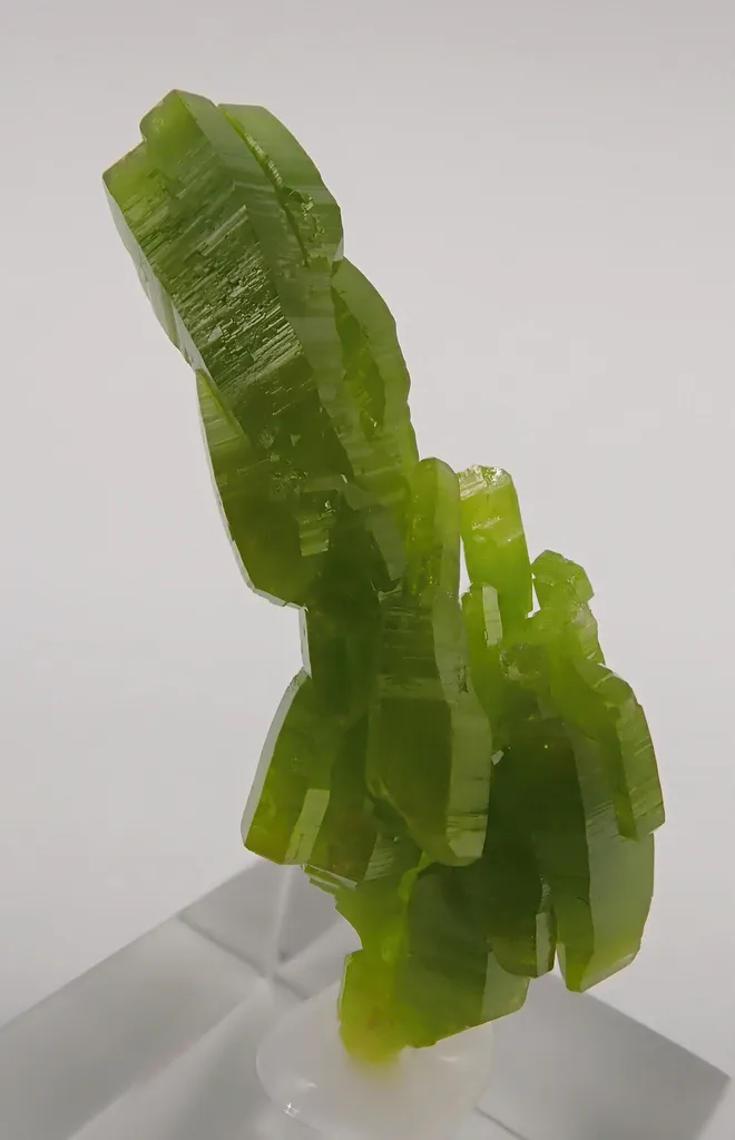 Pyromorphite image