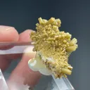 Pyromorphite - image 2