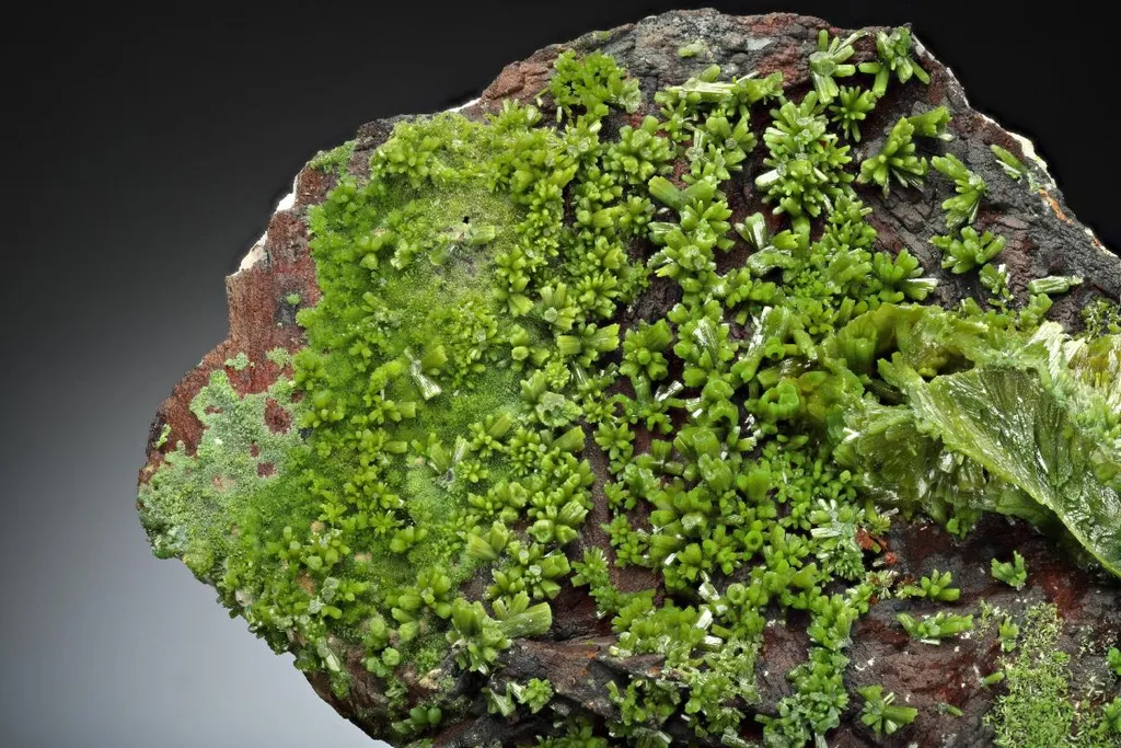 Pyromorphite image